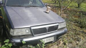 IMG-20260327-WA0000